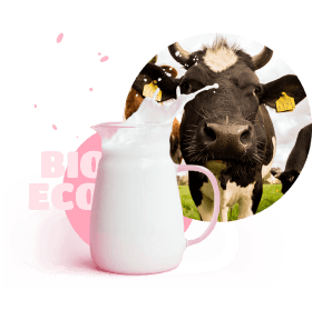 cow-mug